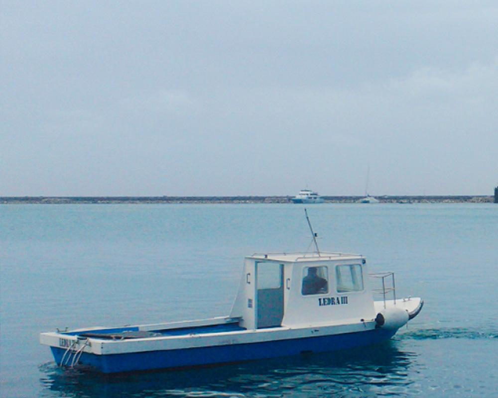 Ledra III